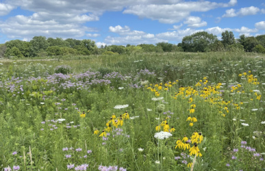 Serene Arena is building intentional, community-based relationships and upliftling collective understanding