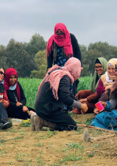 Advancing the Rights of Women Agriculture Workers in Tunisia